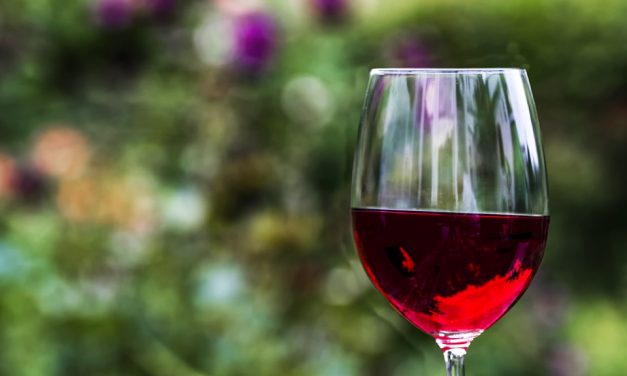 Prekvapivé výhody pitia vína z pohľadu neurovedy