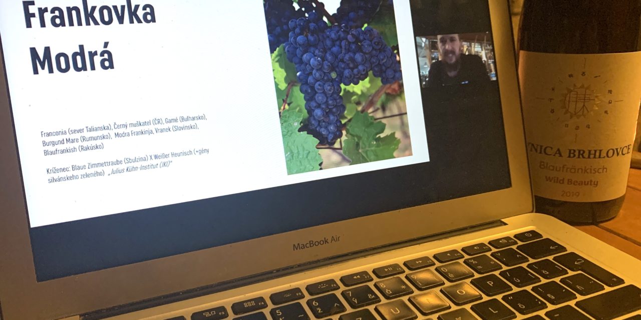 10 jedinečných zážitkov v spoločnosti Frankovky modrej na online degustácii